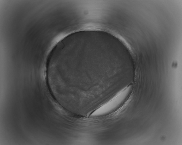 X0000102511461200809051358