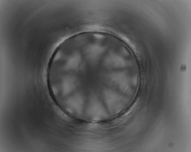 X0000102511463200809051358
