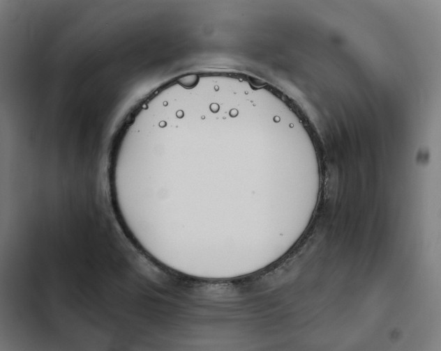 X0000102511464200809051358