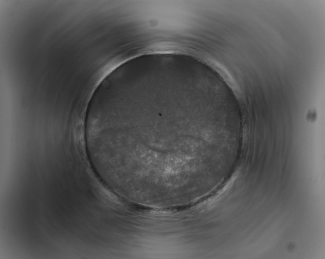 X0000102511465200809051358