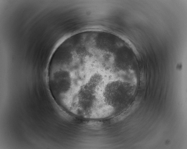 X0000102511466200809051358