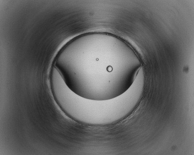X0000102511468200809051358