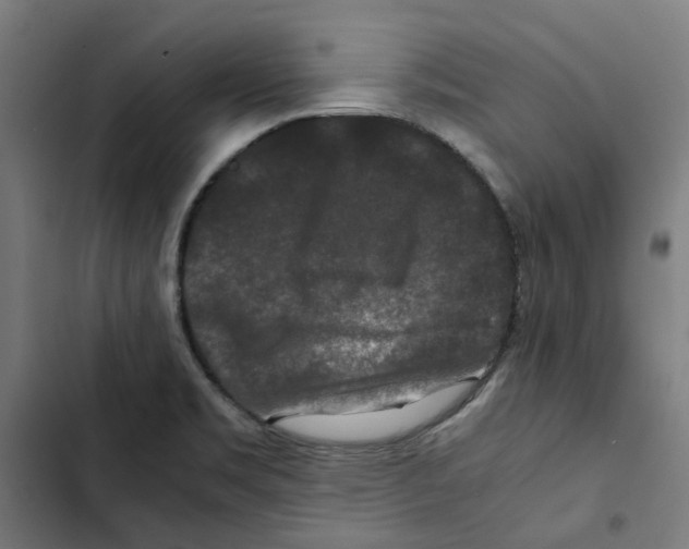 X0000102511469200809051358