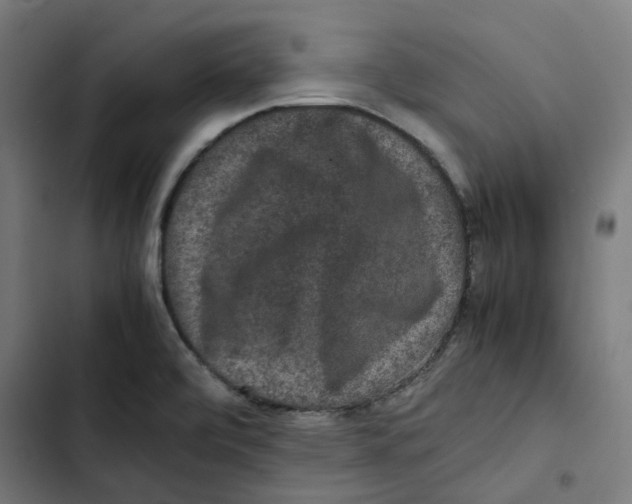 X0000102511472200809051358