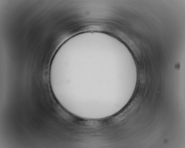 X0000102511473200809051358