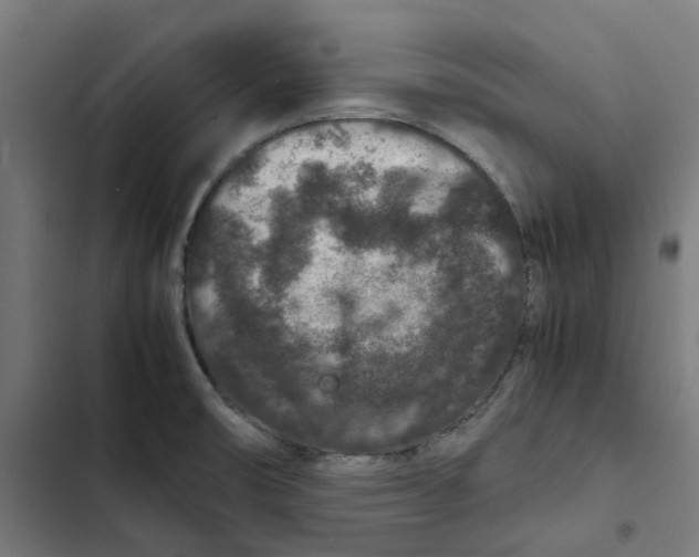X0000102511474200809051358