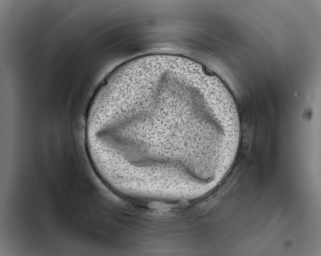 X0000102511476200809051358