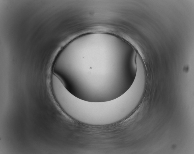 X0000102511477200809051358