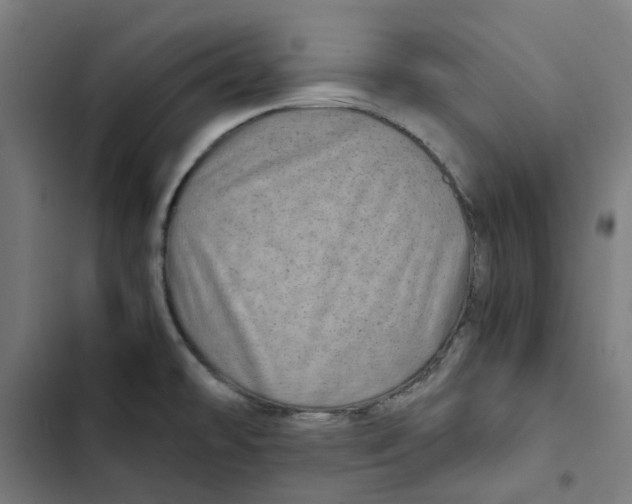 X0000102511478200809051358