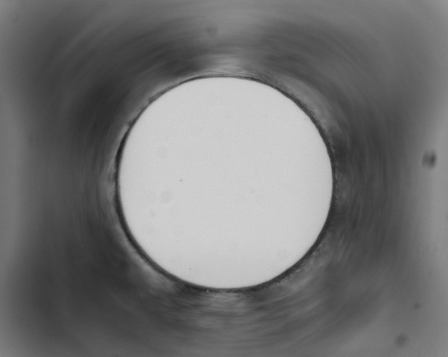 X0000102511479200809051358