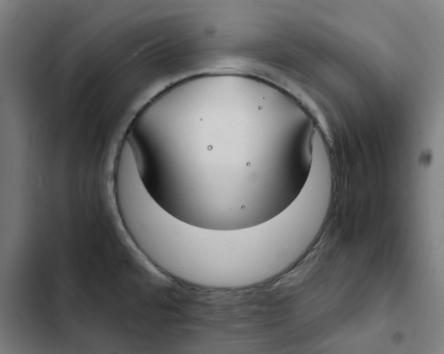 X0000102511480200809051358
