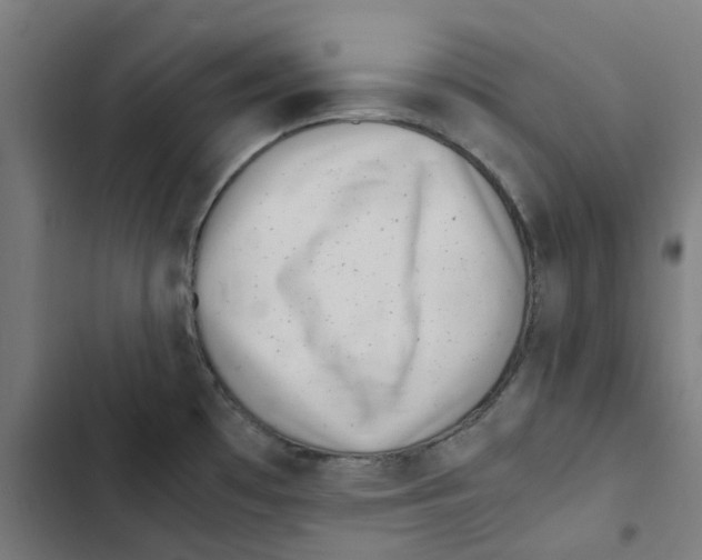 X0000102511481200809051358