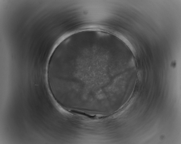 X0000102511482200809051358