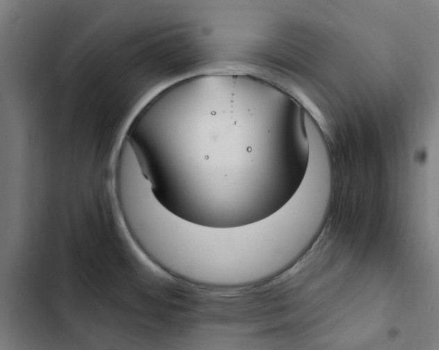 X0000102511484200809051358