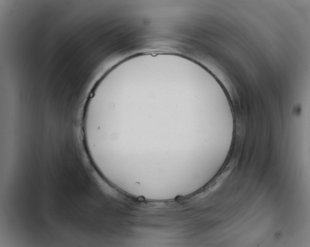 X0000102511485200809051358