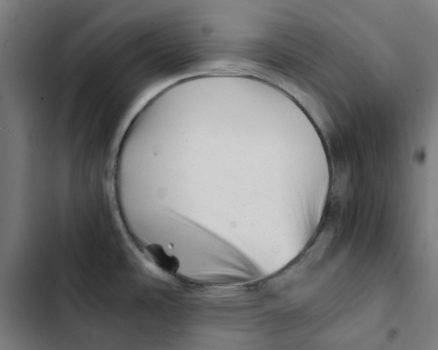 X0000102511486200809051358
