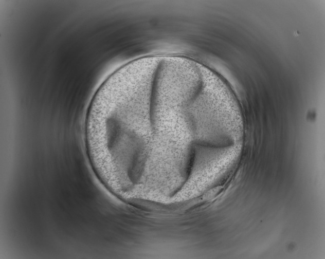 X0000102511487200809051358