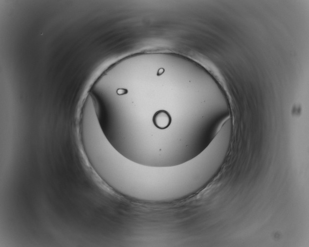 X0000102511488200809051358