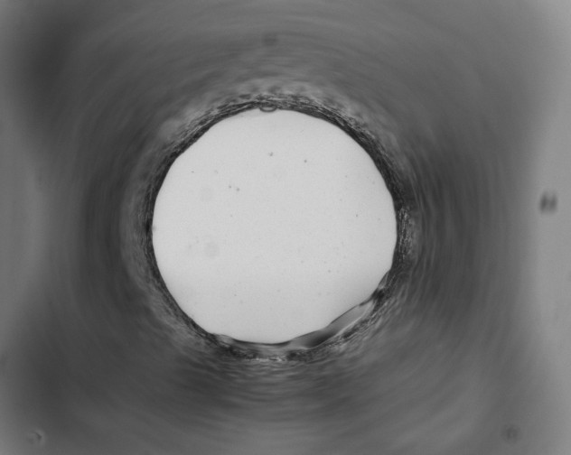 X0000102511489200809051357