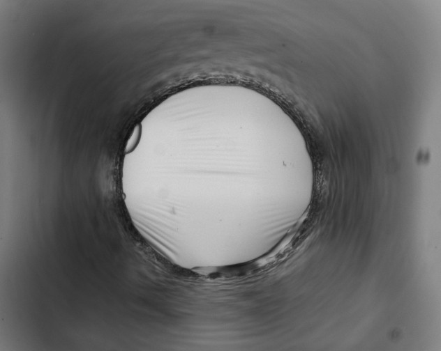 X0000102511490200809051357