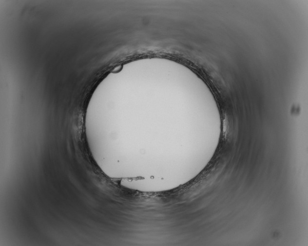 X0000102511492200809051357
