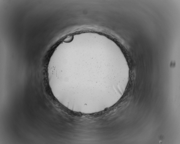 X0000102511496200809051357