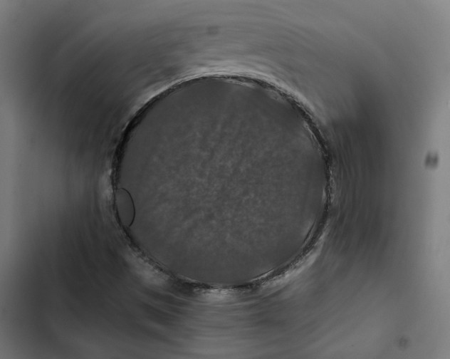 X0000102511497200809051357