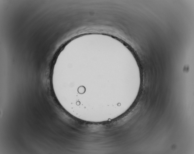 X0000102511498200809051357