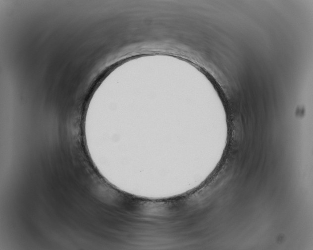 X0000102511499200809051357