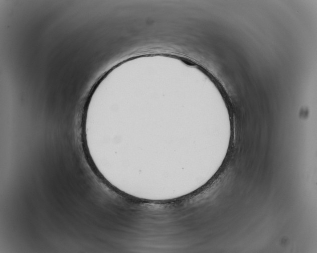 X0000102511500200809051357