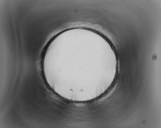 X0000102511501200809051357