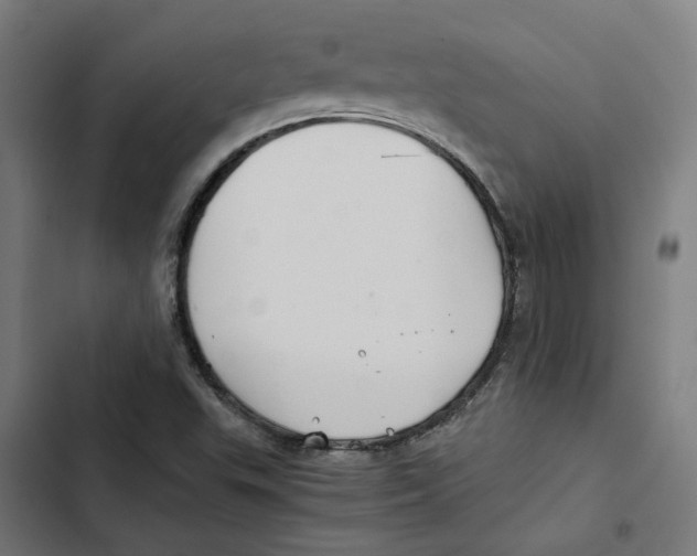 X0000102511503200809051357