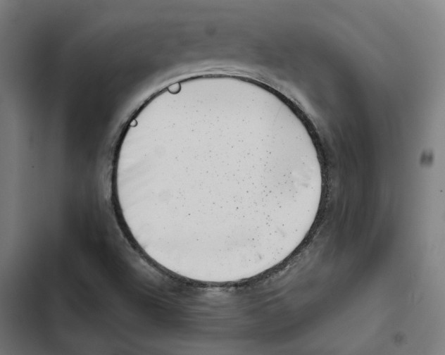 X0000102511504200809051357