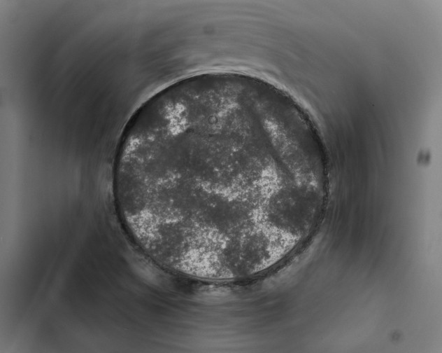 X0000102511505200809051357