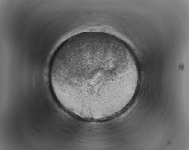 X0000102511506200809051357