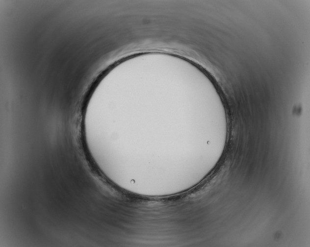 X0000102511507200809051357