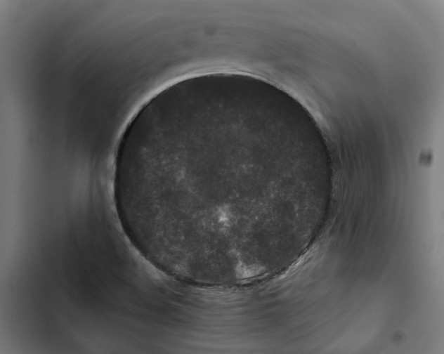 X0000102511508200809051357