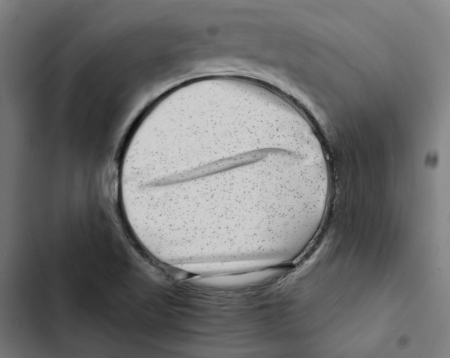 X0000102511509200809051357