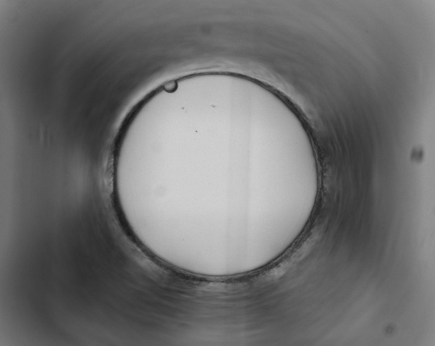 X0000102511510200809051357