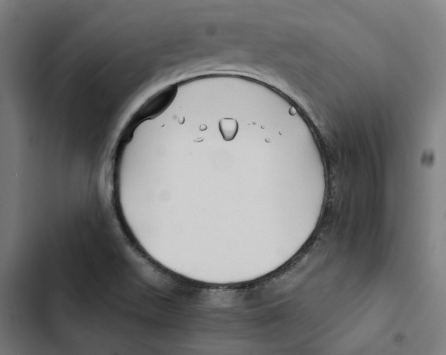 X0000102511511200809051357