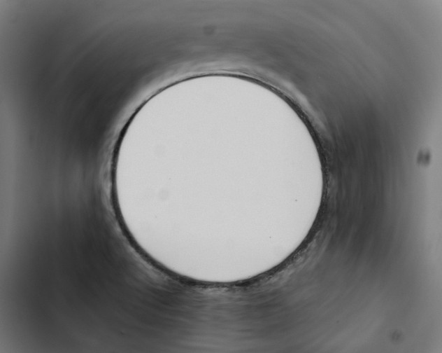 X0000102511512200809051357