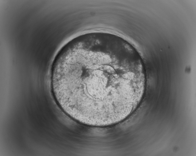 X0000102511514200809051357