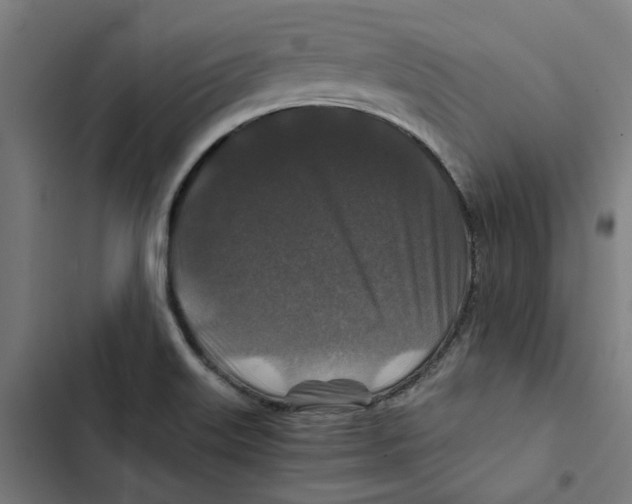 X0000102511515200809051357
