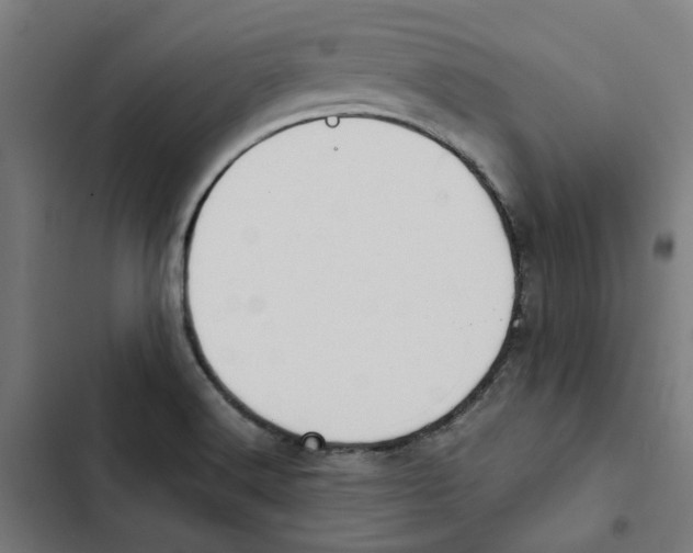 X0000102511516200809051357