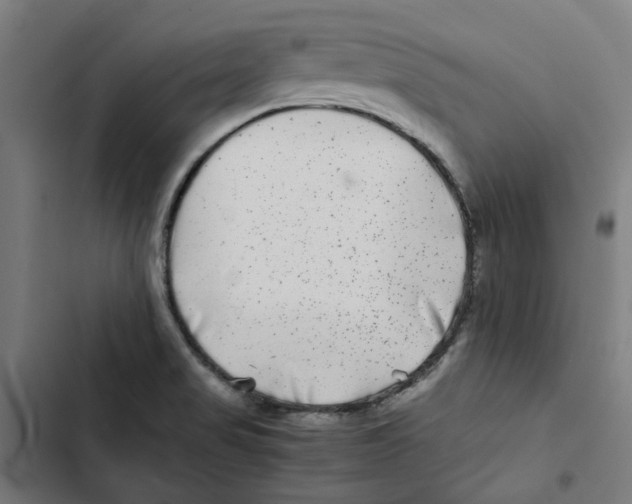 X0000102511517200809051357
