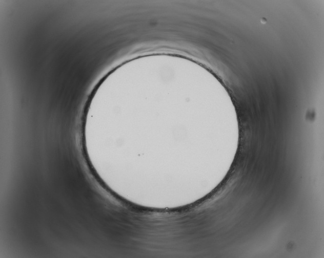 X0000102511518200809051357