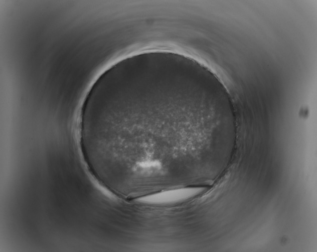 X0000102511519200809051357