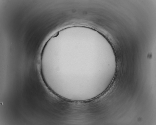 X0000102511520200809051357