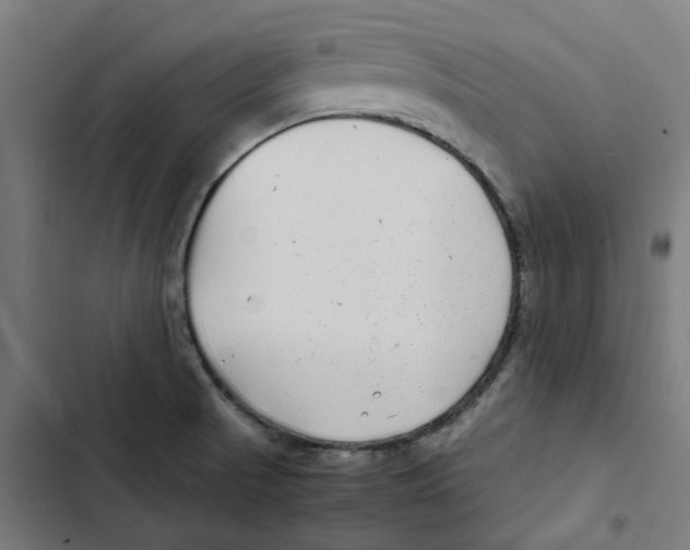 X0000102511521200809051357