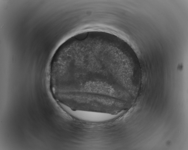 X0000102511522200809051357